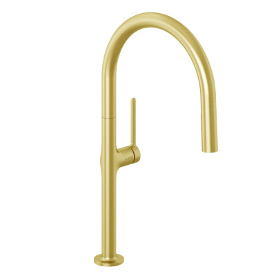 Baterie dřezová Kludi Reef páková STOJÁNKOVÁ SPRŠKA KARTÁČ.ZLATO